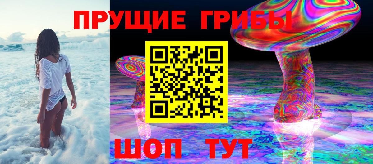 Псилоцибиновые грибы Psilocybine cubensis Кумертау